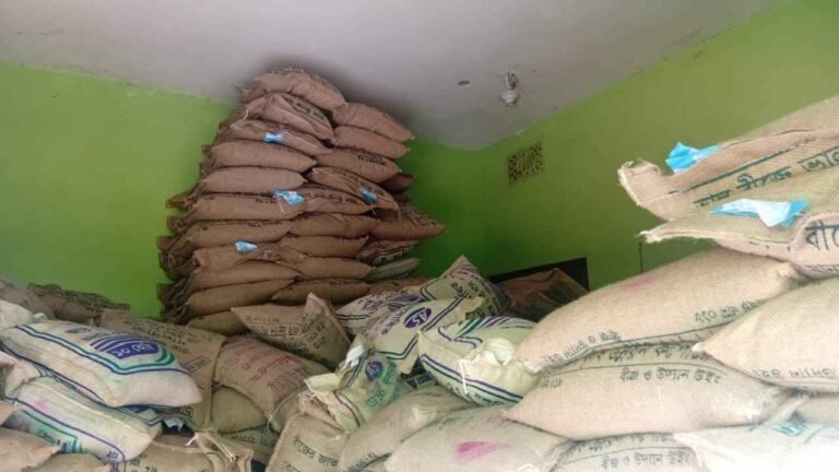 আমতলীতে সরকারি বীজের কৃত্রিম সংকট ও অতিরিক্ত দাম, কৃষকের ক্ষোভ