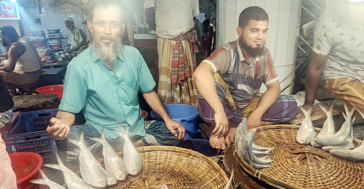 ভোলায় ইলিশের সরবরাহ বাড়লেও দাম কমেনি, ক্ষোভ ক্রেতাদের