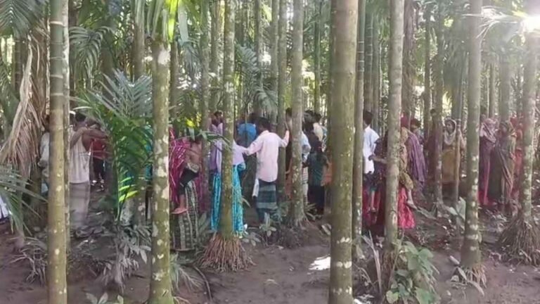 সুপারি চুরি করতে গিয়ে গাছ থেকে পড়ে যুবকের মৃত্যু