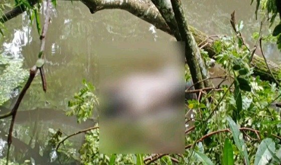 তজুমদ্দিনে পরিত্যক্ত পুকুরে মিলল বাকপ্রতিবন্ধীর ক্ষতবিক্ষত লাশ