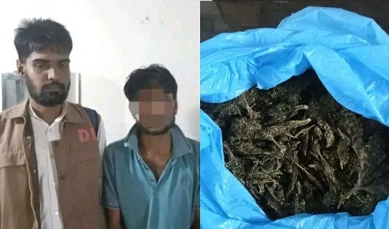 ইন্দুরকানিতে বিশেষ অভিযানে প্রায় ১ কেজি গাঁজাসহ যুবক গ্রেফতার