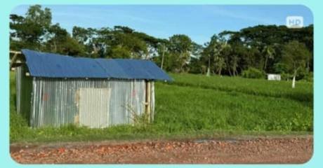 তালতলীতে রাখাইন পরিবারের কাছে চাঁদা দাবি, প্রাণনাশের হুমকি