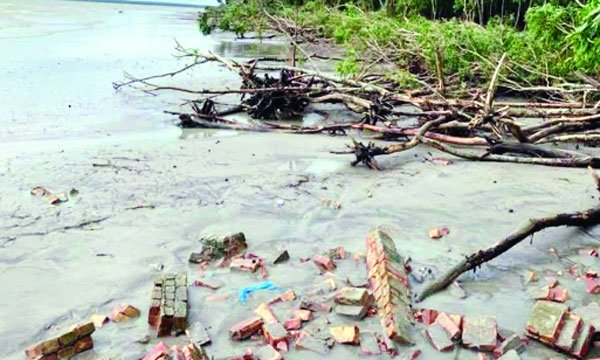 বরগুনায় তাপবিদ্যুৎ কেন্দ্রের বর্জ্যে নদী ও জীববৈচিত্র্য হুমকিতে