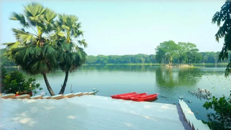 দুর্গাসাগরের খাঁচা থেকে হরিণ উধাও, তদন্তে প্রশাসন