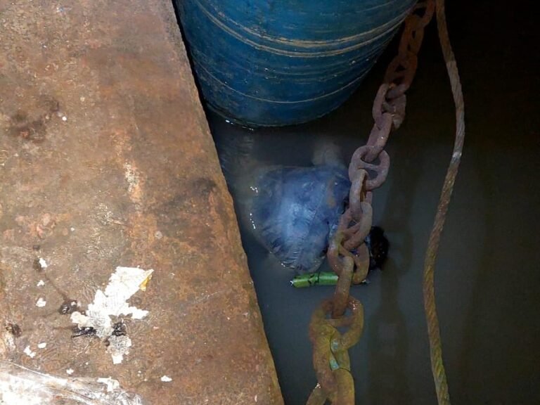 কীর্তনখোলা নদীতে দুই দিনে দুই মরদেহ, জনমনে আতঙ্ক