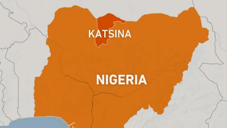 নাইজেরিয়ায় সহিংসতা: নামাজের সময় গুলিতে বহু প্রাণহানি