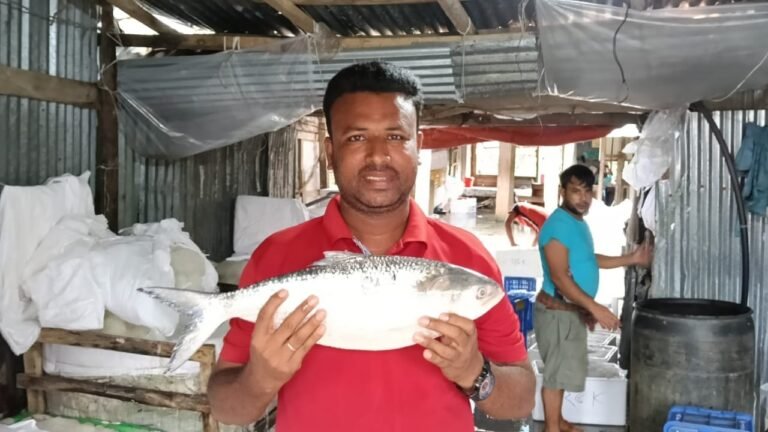 কুয়াকাটায় জেলের জালে ধরা পড়ল দেড় কেজির বেশি ওজনের ইলিশ