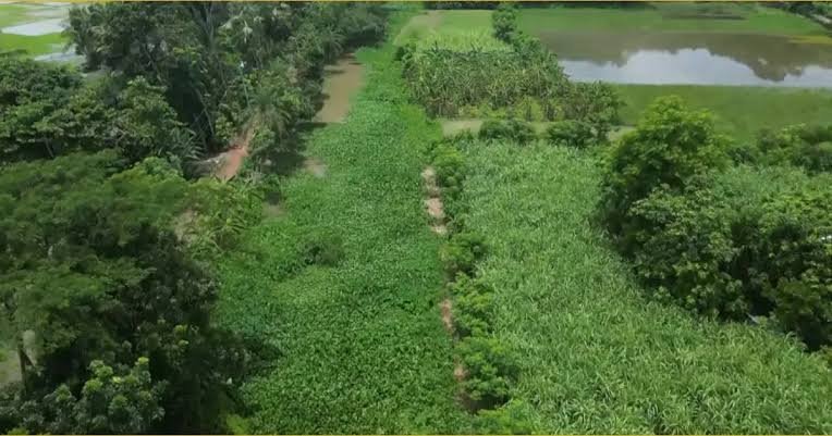 দখল-দূষণে অস্তিত্ব সংকটে মুরাদিয়া নদী