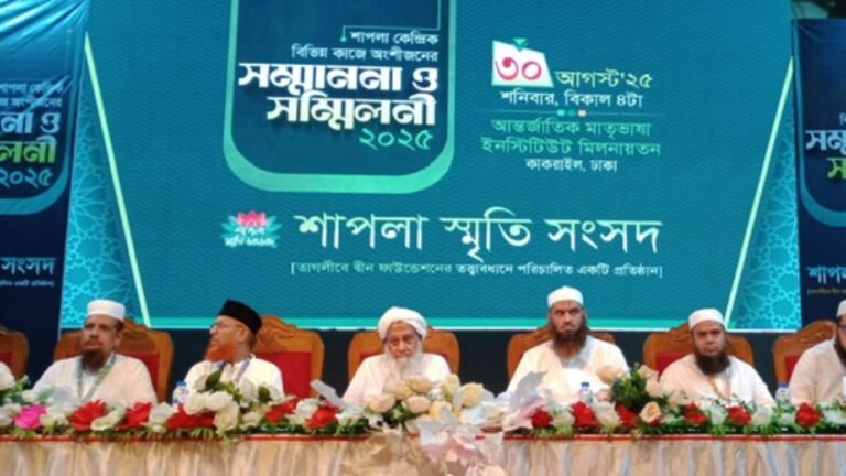 শাপলার রক্তেই চব্বিশের চেতনার সূচনা: মামুনুল হক