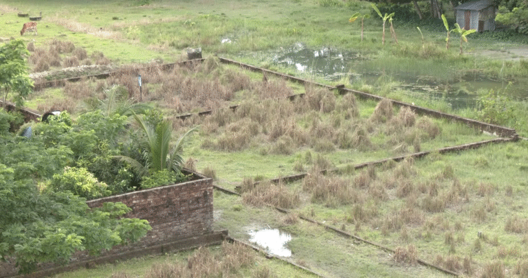 দক্ষিণাঞ্চলে আশঙ্কাজনক হারে কমছে আবাদি জমি