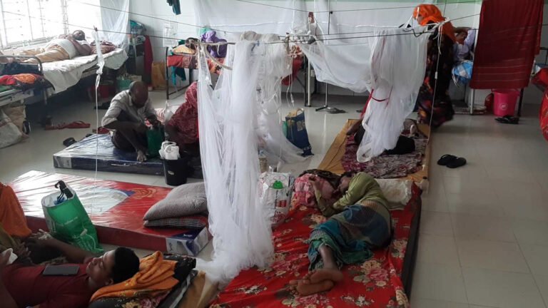 ডেঙ্গুতে আরও ২ মৃত্যু, হাসপাতালে ভর্তি ৫৭৩ জন