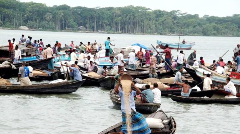 পিরোজপুরে নৌকায় ভেসে সবজির হাট, প্রাণ ফিরে এলো নদীতে