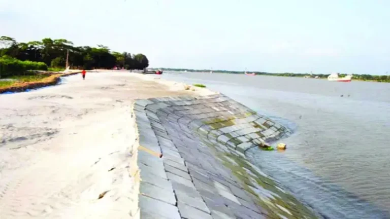 বরিশালে শহর রক্ষা বাঁধের ব্লক লুট, আটক এক