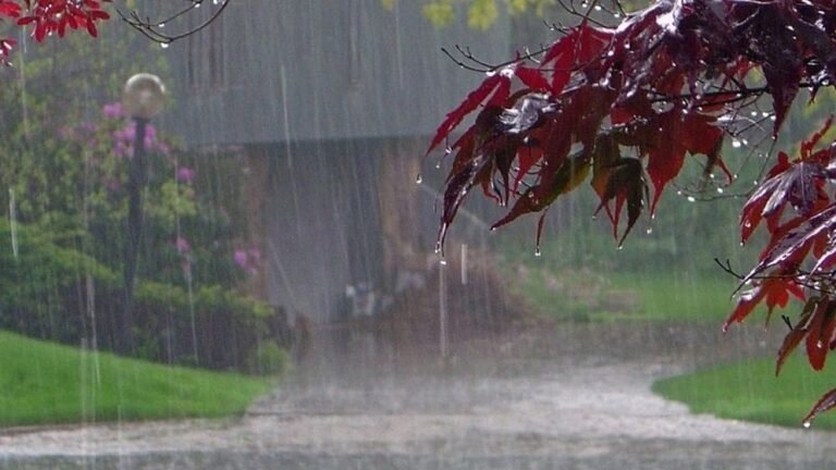 আগামী পাঁচ দিনে বজ্রসহ ভারি বর্ষণের সতর্কতা, আবহাওয়া অফিসের সতর্কবার্তা