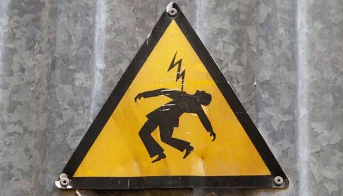 ভোলার মনপুরায় বজ্রপাতে কাঁকড়া শিকারি ও ৮ গরু-মহিষের মৃত্যু