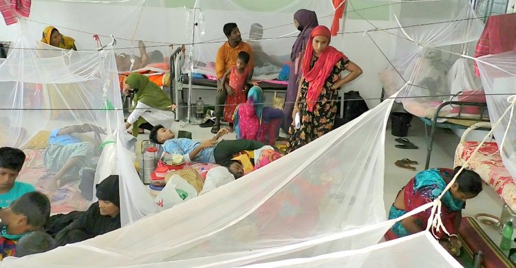 বরগুনায় ডেঙ্গু পরিস্থিতি আবারও উদ্বেগজনক