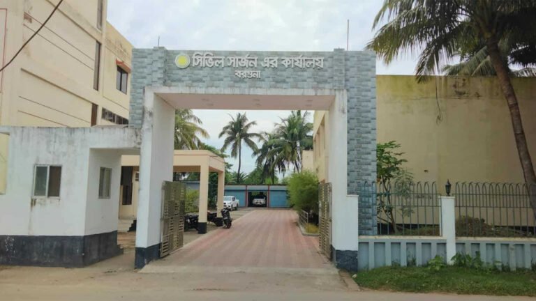 বরগুনায় ডেঙ্গুতে প্রভাষকের মৃত্যু, জেলায় প্রাণহানি ৪৫