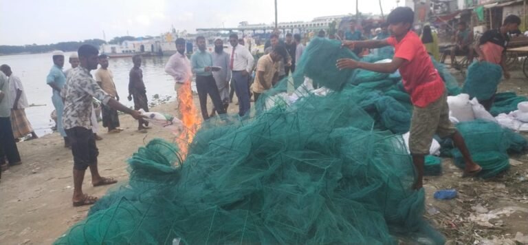বরিশালে মৎস্য রক্ষায় বিশেষ অভিযানে ৪৫০ কারেন্ট জাল উদ্ধার