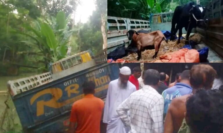 চোরাই গরু-ছাগলসহ ট্রাক উদ্ধার