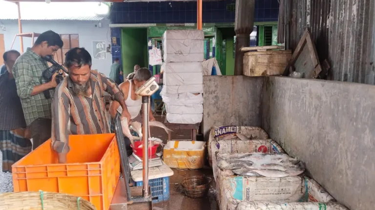 বরিশালে ভরা মৌসুমেও নেই ইলিশ, ব্যবসায়ী-ক্রেতা দুয়ারে তীব্র সংকট