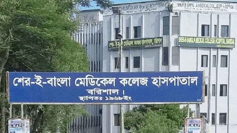 বরিশালে ডেঙ্গুতে এক নারীর মৃত্যু, নতুন আক্রান্ত ১৫১