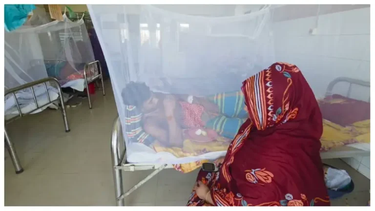 ভোলায় ডেঙ্গুর প্রকোপ বেড়েছে, এক মাসে রোগী দ্বিগুণ