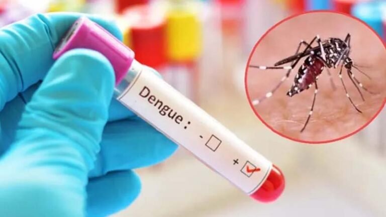 ডেঙ্গুতে আরও ৬ জনের মৃত্যু, আক্রান্ত ৪০ হাজার ছাড়ালো