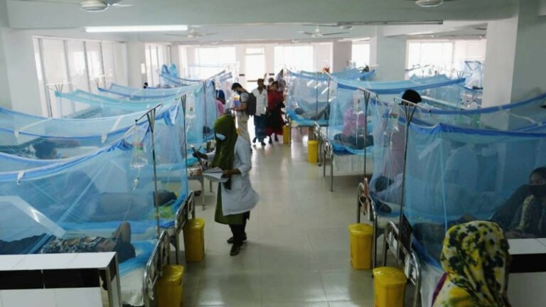 ডেঙ্গুতে থামছেই না প্রাণহানি: একদিনে আরও ৫ মৃত্যু