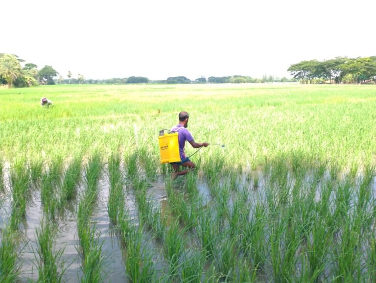উপকূলীয় অঞ্চলে দেশীয় মাছ বিলুপ্তির পথে