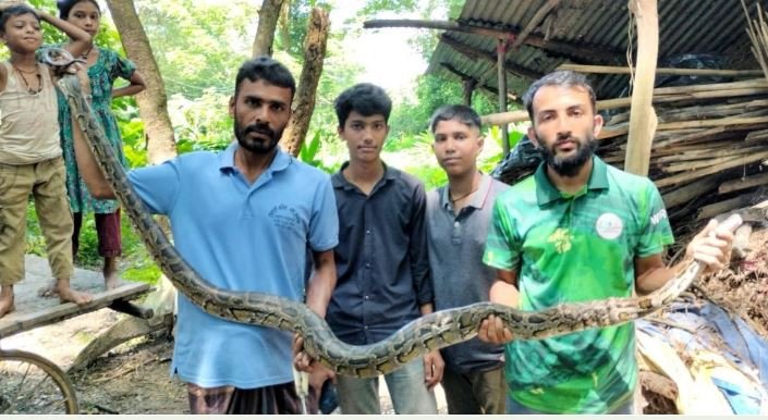 বোয়ালখালীতে ১০ ফুট লম্বা অজগর উদ্ধার