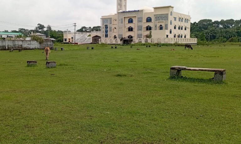 সংস্কারের অভাবে নাজিরপুর মিনি স্টেডিয়াম এখন গরু-ছাগলের চারণভূমি
