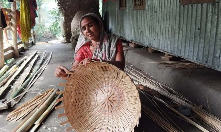 পাথরঘাটা দুঃখে ভরা জীবন: সুভাষিণীর সংগ্রাম ও আশা
