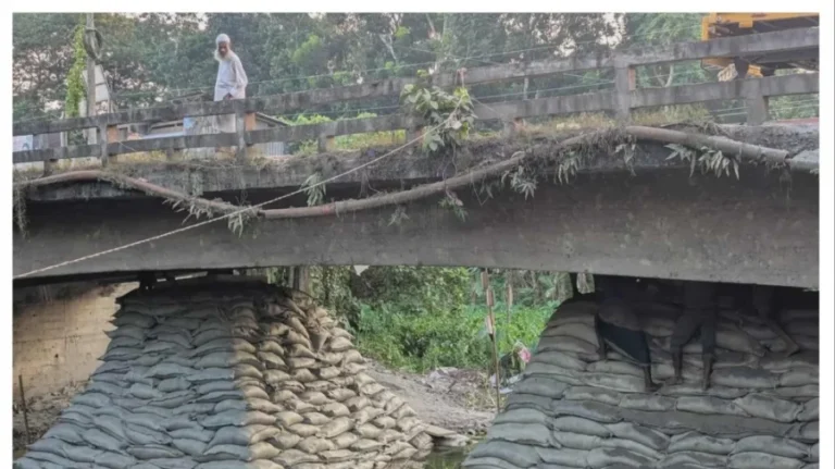 ঝুঁকিপূর্ণ সেতুতে চলছে ভারী যানবাহন, দুর্ঘটনার শঙ্কা বরিশাল-ঢাকা মহাসড়কে