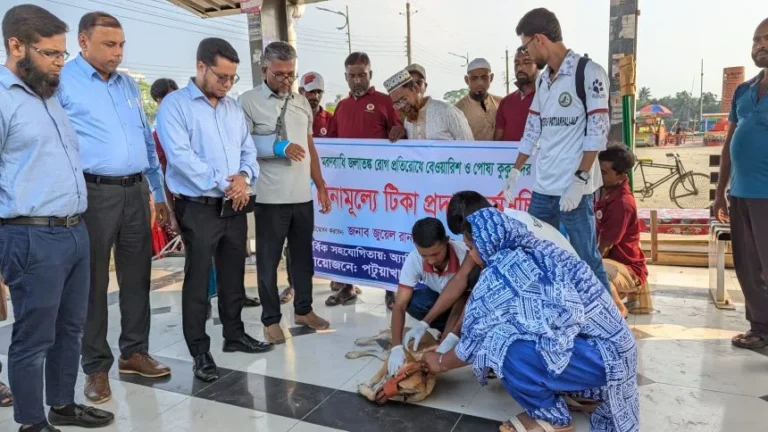 পটুয়াখালীতে বেওয়ারিশ কুকুর-বিড়ালের জলাতঙ্ক প্রতিরোধে টিকা কার্যক্রম শুরু