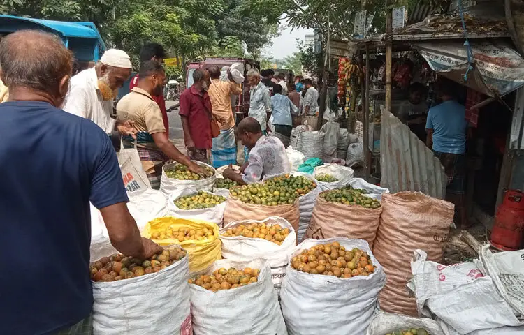 ঝালকাঠিতে সুপারির বাজারে চাষি-ক্রেতা মুখরিত, দাম কমে হতাশা