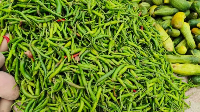  বরিশালে কাঁচামরিচ ৫০০, সবজি-মাছেও ক্রেতারা হতাশ