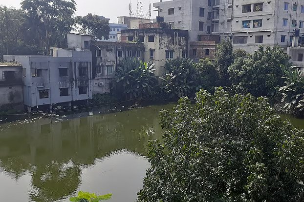 প্রশাসনের নীরবতায় হারাচ্ছে ভোলার ঐতিহ্যবাহী জলাশয়