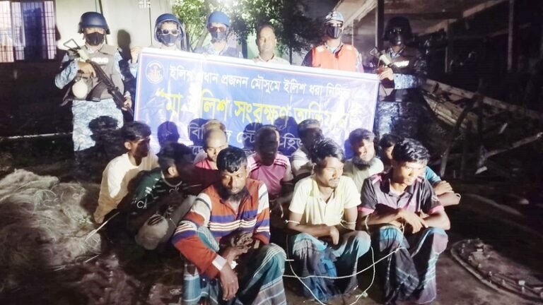 মেঘনায় অবৈধভাবে মা ইলিশ ধরায় ১৪ জেলে আটক