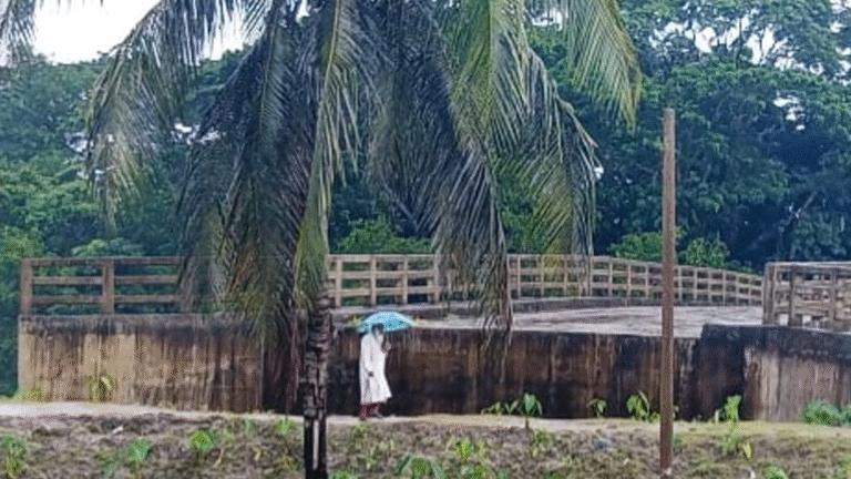 ৬ কোটি টাকা ব্যয়েও সংযোগহীন, ব্যবহারের অযোগ্য সেতু