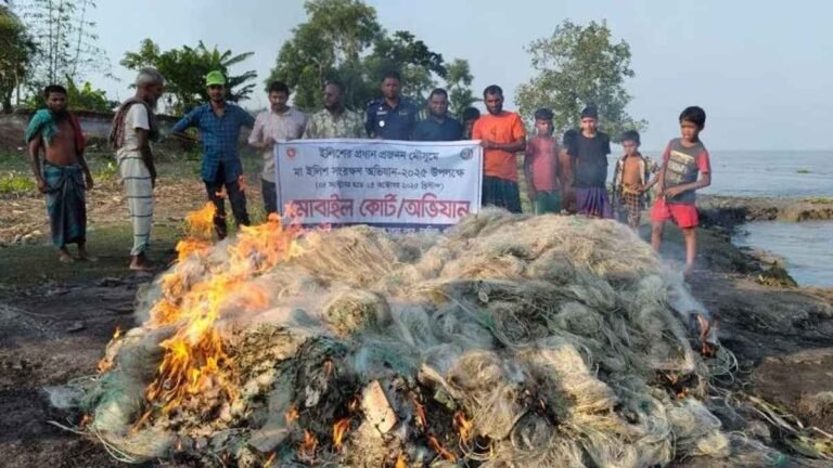 দশমিনায় ৪০ হাজার মিটার অবৈধ জাল জব্দ, ১৫ কেজি মা ইলিশ এতিমখানায় বিতরণ