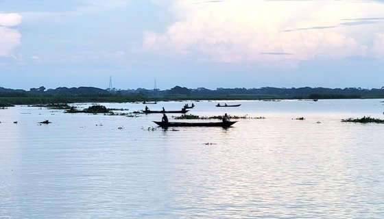 “আড়িয়াল খাঁ নদীতে অবাধে ইলিশ শিকার, প্রশাসন সতর্ক”