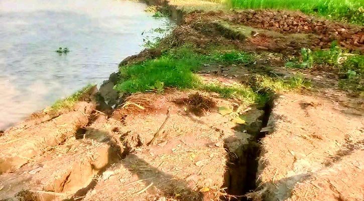 বিষখালী নদীতে ভয়াবহ ভাঙন : বিলীন হচ্ছে মানকি, সুন্দর ও বাদুরতলা গ্রাম