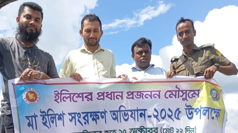  পিরোজপুরে মা ইলিশ সংরক্ষণে অভিযান: চার হাজার মিটার জাল জব্দ