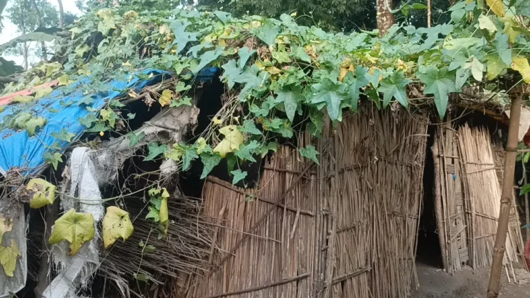 বরিশালের মেহেন্দিগঞ্জে মানবেতর জীবনযাপন, নতুন ঘর পাচ্ছেন করিম ফকির পরিবার