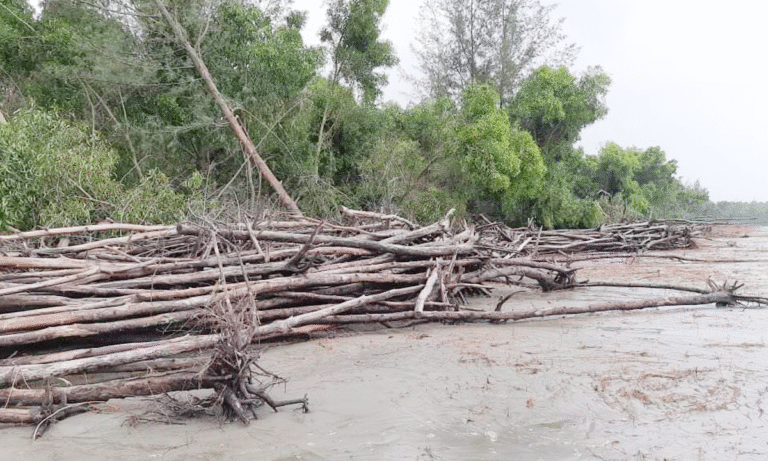 অস্তিত্ব সংকটে বরগুনার তালতলীর শুভসন্ধ্যা সমুদ্র সৈকত