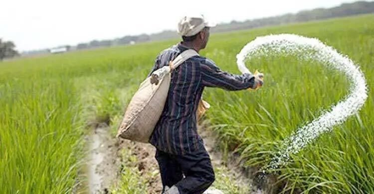 বিশ্বের পাঁচ দেশ থেকে বিপুল পরিমাণ সার আনছে বাংলাদেশ