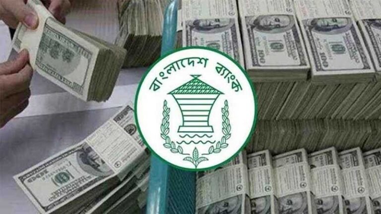 রেমিট্যান্স প্রবাহে উল্লম্ফন: অক্টোবরের ২৯ দিনে দেশে এসেছে ২৪৩ কোটি ডলার