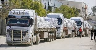 প্রতিদিন ৫৬০ টন খাদ্য ঢুকছে গাজায়, তবে আরও প্রয়োজন