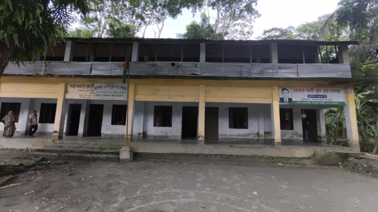 ৪০ বছরেও আধুনিক শিক্ষার ছোঁয়া পায়নি নলবুনিয়া মহব্বত আলী স্কুল অ্যান্ড কলেজ