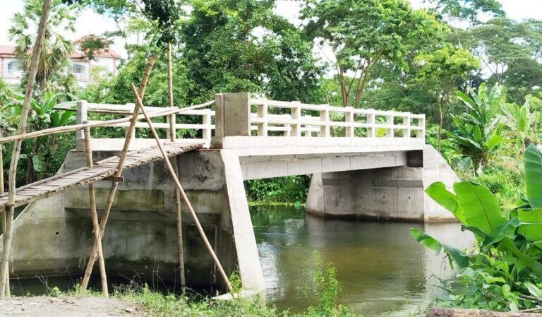 ২৭ লাখ টাকার সেতু, অথচ উঠতে হয় মই দিয়ে